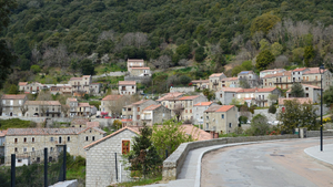 Traitement punaises de lit Sevran